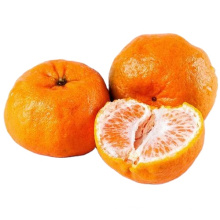 Natural High-Quality Sweet And Juicy Fresh Citrus Navel Orange